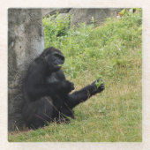 Gorilla Glazen Onderzetter (Voorkant)