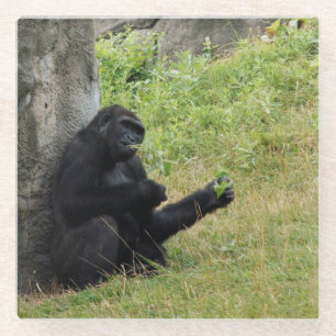 Gorilla Glazen Onderzetter