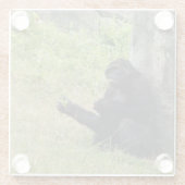 Gorilla Glazen Onderzetter (Achterkant)