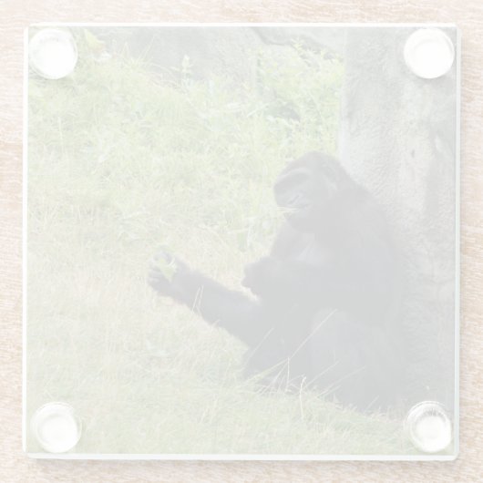 Gorilla Glazen Onderzetter (Achterkant)