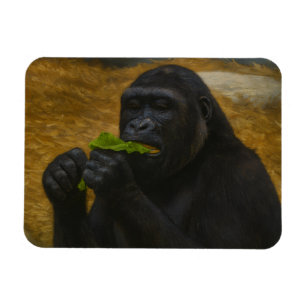 Gorilla Grace – Realistisch Portret van Wilde Dier Magneet
