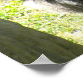 GORILLA GREETING poster (Hoek)