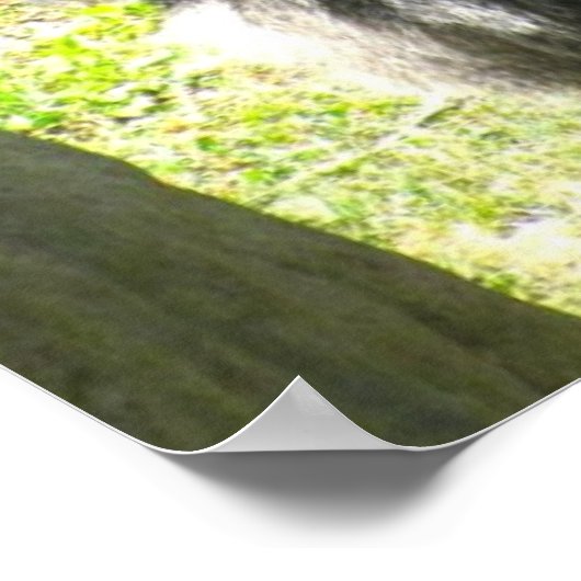 GORILLA GREETING poster (Hoek)