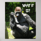 GORILLA GREETING poster (Voorkant)