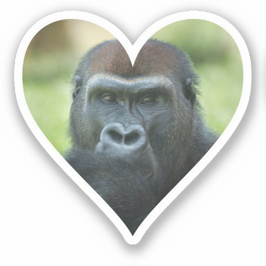 Gorilla Heart Sticker (Voorkant)
