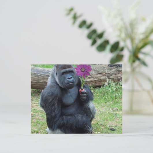Gorilla Holding Flower Briefkaart (Staand voorkant)