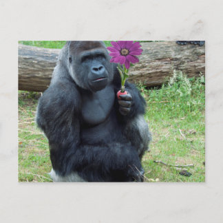 Gorilla Holding Flower Briefkaart