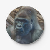 Gorilla in bord van dichtbij (Voorkant)