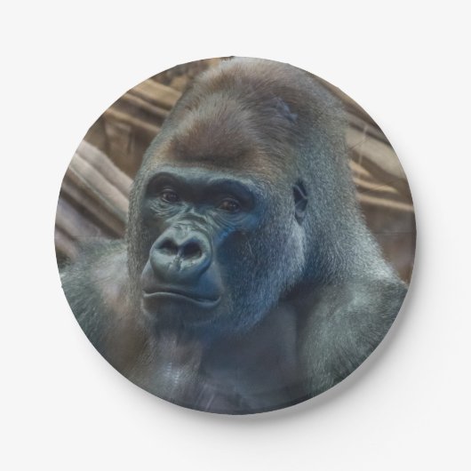 Gorilla in bord van dichtbij (Voorkant)