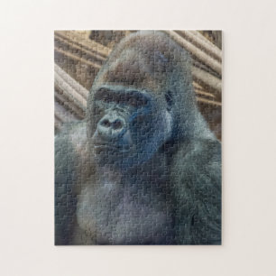 Gorilla in de buurt van puzzel