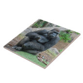 Gorilla in de keramische tegel van de dierentuin tegeltje (Zijkant)