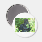 gorilla in de struik magneet (Voorkant / Achterkant)