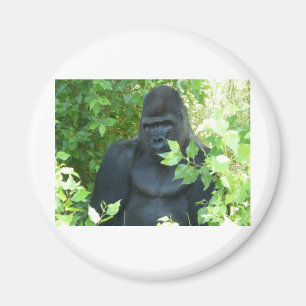 gorilla in de struik magneet