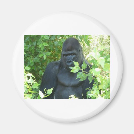 gorilla in de struik magneet (Voorkant)