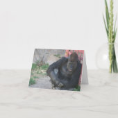 Gorilla in de zon bedankkaart (Voorkant)