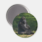 Gorilla in de Zonnemaget Magneet (Voorkant / Achterkant)