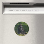 Gorilla in de Zonnemaget Magneet (Insitu (Vaatwasser))