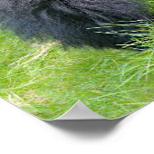 gorilla in het oerwoud poster (Hoek)