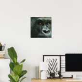 Gorilla in het Poster Mist (Thuiskantoor)