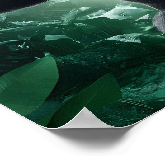 Gorilla in Oerwoud Poster (Hoek)