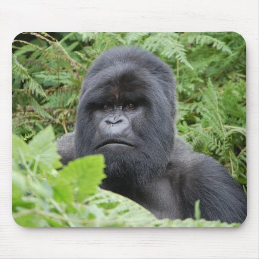 Gorilla in Rwanda Muismat (Voorkant)