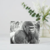 Gorilla in zwart-wit briefkaart (Staand voorkant)
