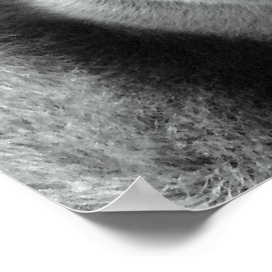 Gorilla in zwart-wit Poster (Hoek)