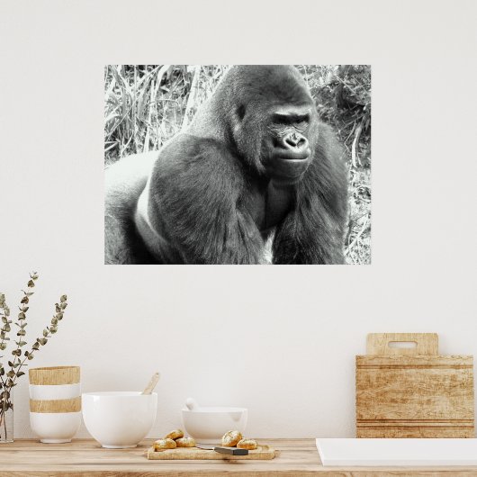 Gorilla in zwart-wit Poster (Keuken)