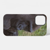 Gorilla iPhone Hoesje (Achterkant horizontaal)