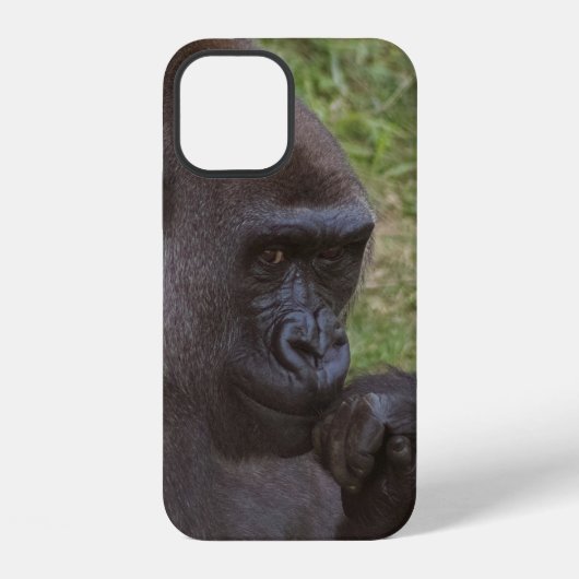 Gorilla iPhone Hoesje (Achterkant)