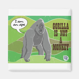 Gorilla is geen aap magneet