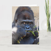 Gorilla Kaart (Voorkant)