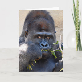 Gorilla Kaart