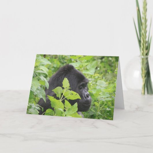 Gorilla Kaart - Blank aan de binnenkant (Voorkant)