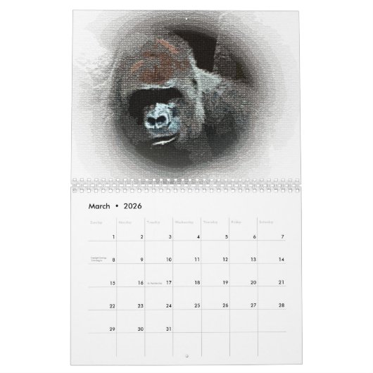 Gorilla Kalender (Mar 2026)