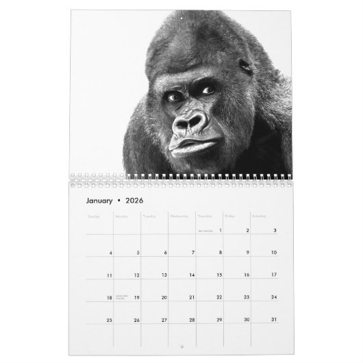 Gorilla Kalender (Jan 2026)