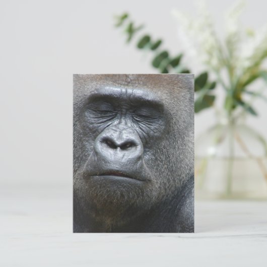 Gorilla Kijk Briefkaart (Staand voorkant)