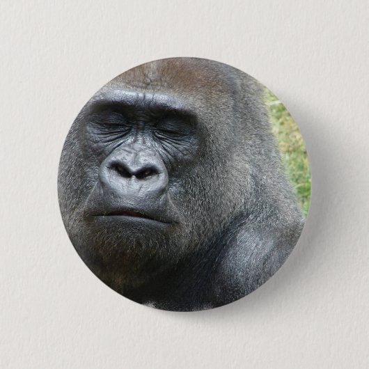 Gorilla Kijk Button (Voorkant)