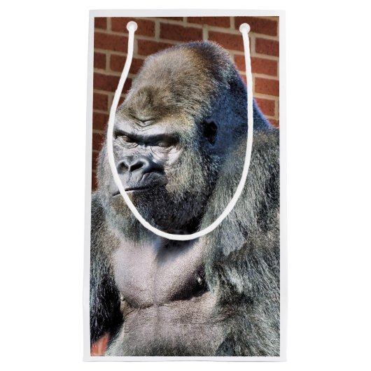 GORILLA KLEIN CADEAUZAKJE (Voorkant)
