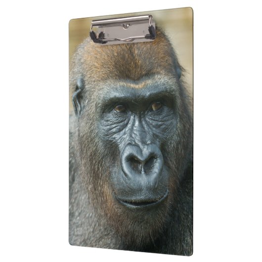 Gorilla Klembord (Links)