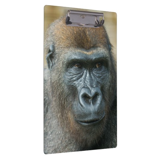 Gorilla Klembord (Rechts)