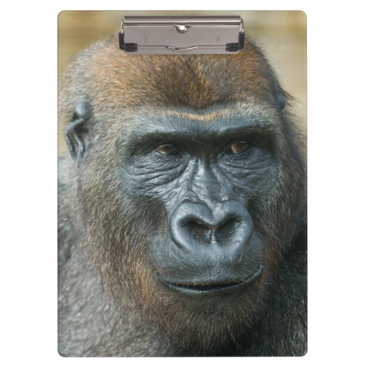 Gorilla Klembord (Voorkant)