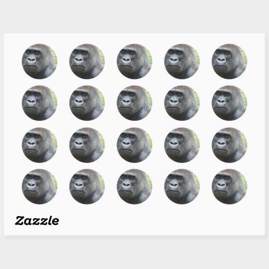 Gorilla Look Stickers (Vel)