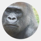 Gorilla Look Stickers (Voorkant)