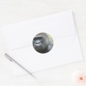 Gorilla Look Stickers (Envelop)