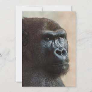 Gorilla Lope Close-up Feestdagenkaart