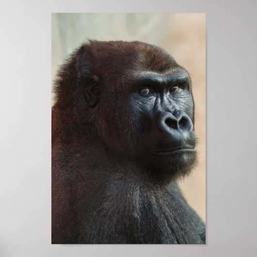 Gorilla Lope Close-up Poster (Voorkant)