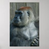 Gorilla Lope Poster (Voorkant)