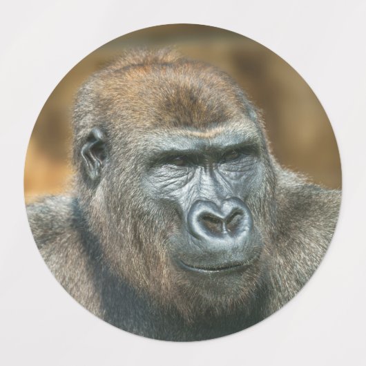 Gorilla Lope (Rond design) Labels (Design 2)
