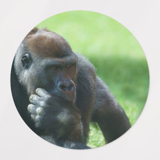 Gorilla Lope (Rond design) Labels (Design 1)